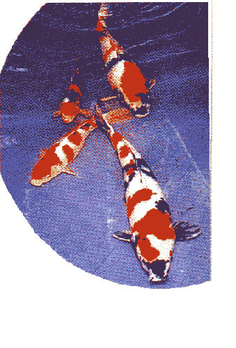 ьP